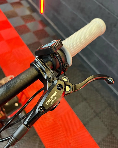 Talaria Sting 2023 TL3000