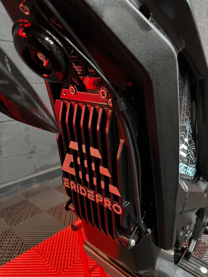 E-Ride Pro SS 2.0
